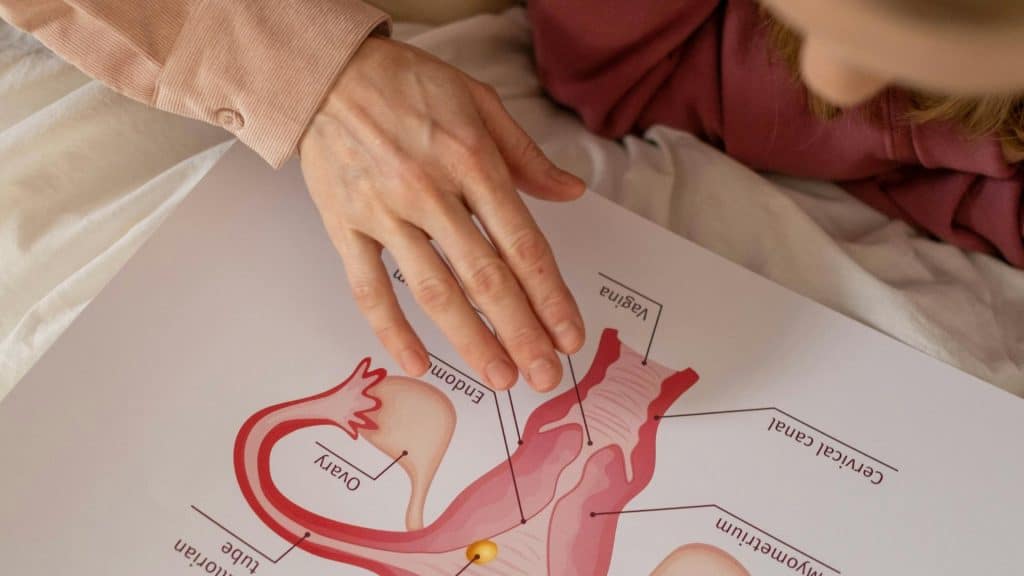 Ostetricia e Ginecologia